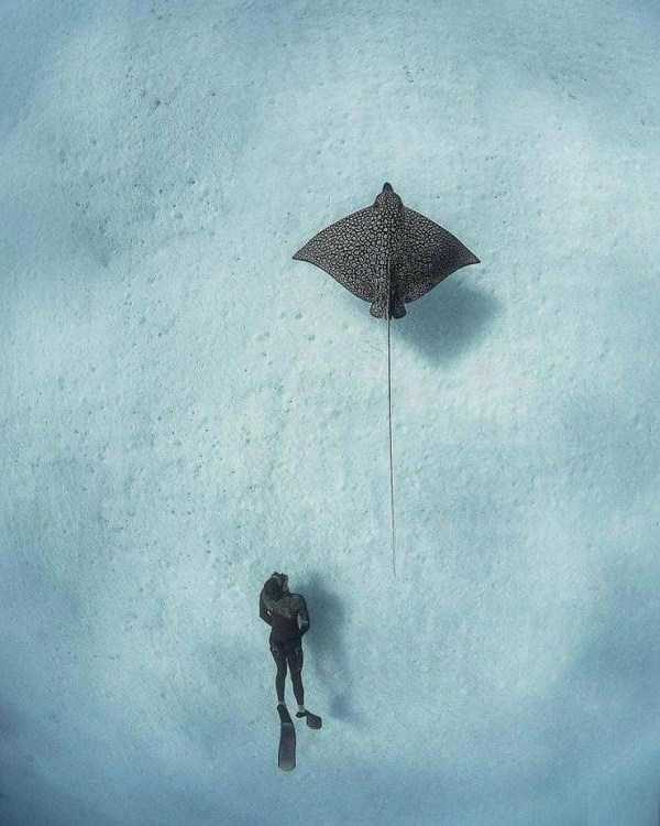 Klyker Picdump (133 photos)