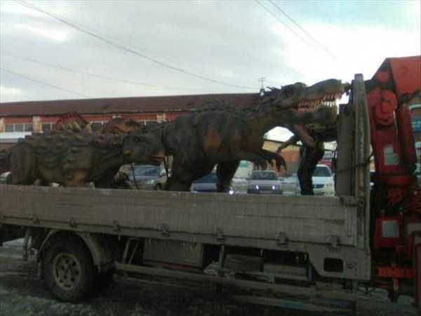 klyker funny picdump 113 15 600x450 Klyker Picdump (152 photos)