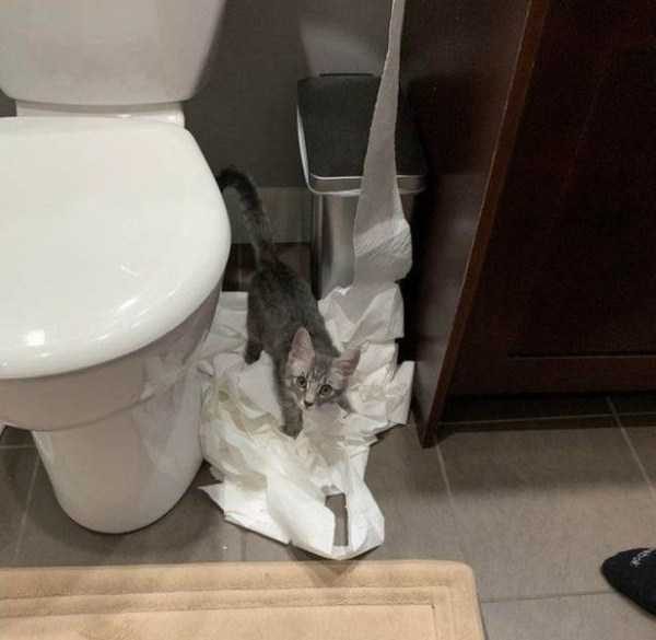 Klyker Picdump (127 photos)