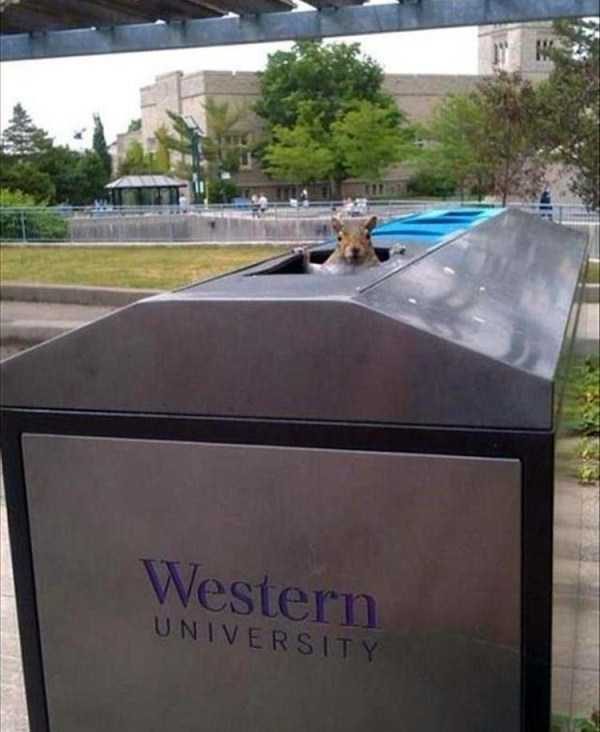 Klyker Picdump (127 photos)