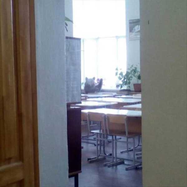 Klyker Picdump (127 photos)