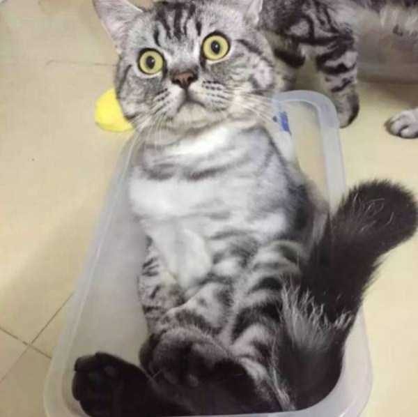 Klyker Picdump (133 photos)