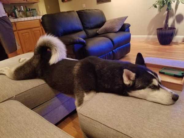 Klyker Picdump (147 photos)