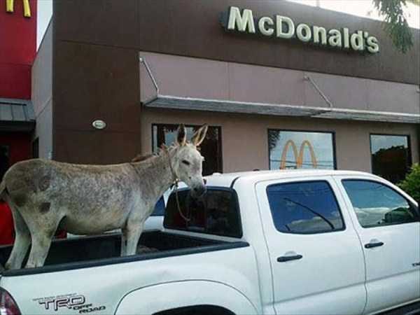 klyker funny picdump 123 15 600x450 Klyker Picdump (152 photos)