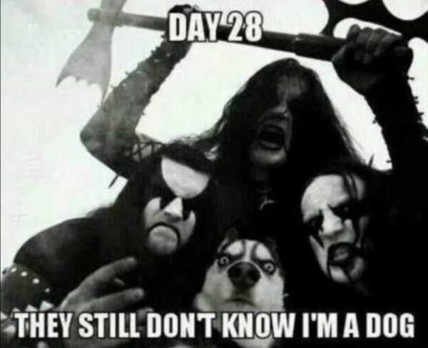 klyker funny picdump 123 7 600x488 Klyker Picdump (140 photos)