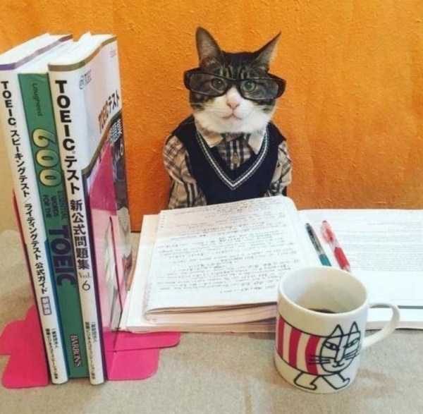 klyker funny picdump 124 14 600x587 Klyker Picdump (134 photos)