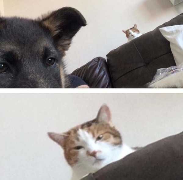 klyker funny picdump 125 13 600x590 Klyker Picdump (134 photos)