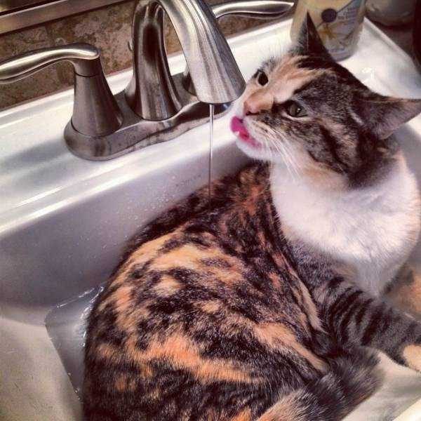 Klyker Picdump (133 photos)