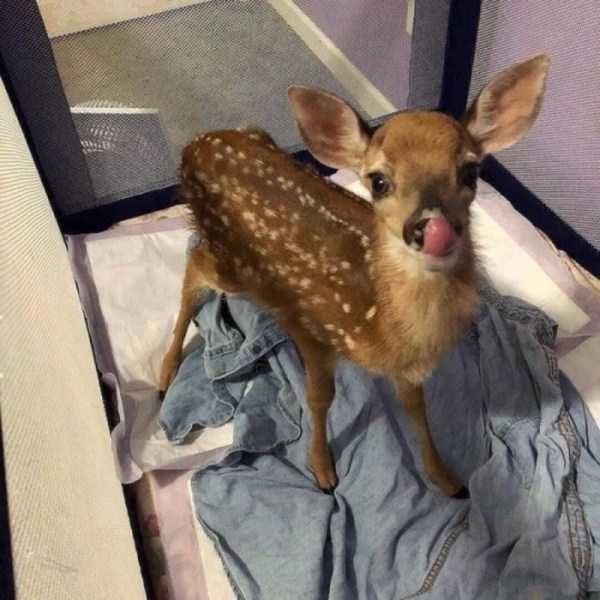 klyker funny picdump 128 6 600x600 Klyker Picdump (140 photos)