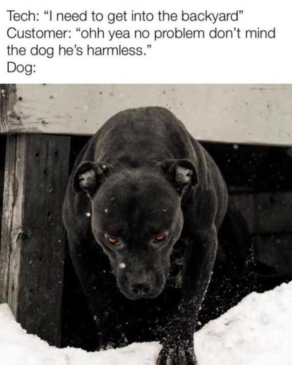 klyker funny picdump 129 12 600x750 Klyker Picdump (134 photos)