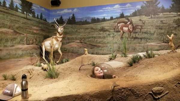 Klyker Picdump (133 photos)