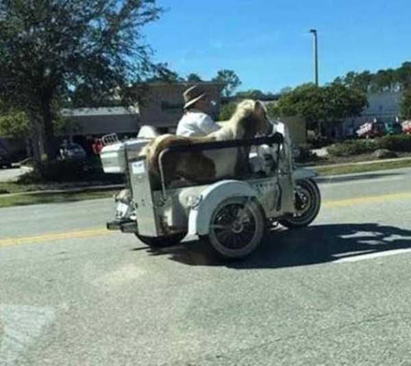 klyker funny picdump 135 12 600x535 Klyker Picdump (152 photos)