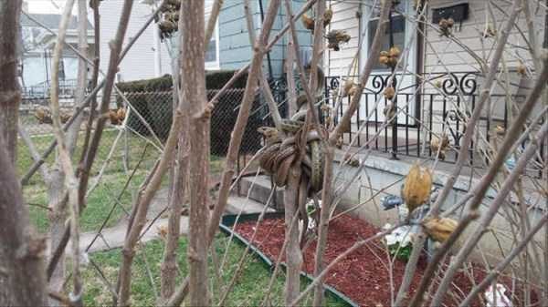 klyker funny picdump 136 11 600x337 Klyker Picdump (152 photos)