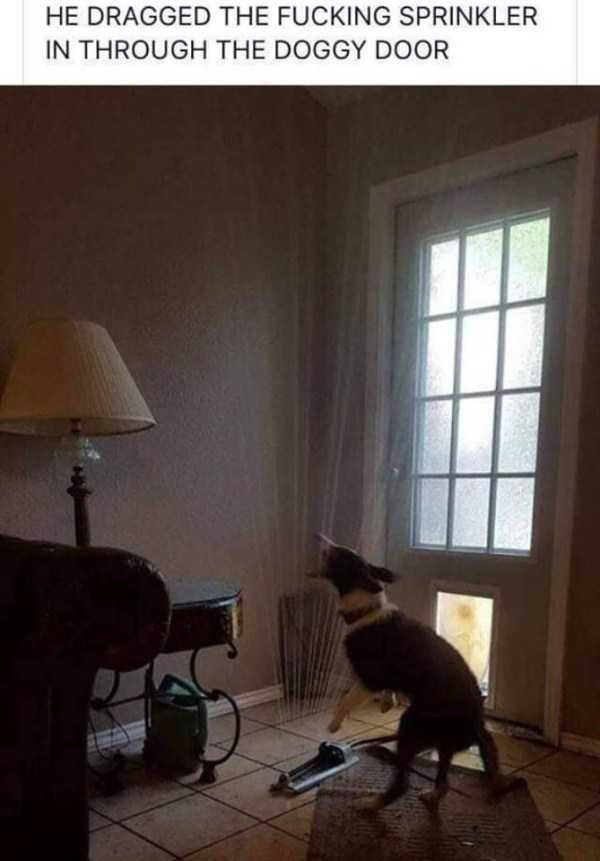 klyker funny picdump 14 14 600x861 Klyker Picdump (134 photos)