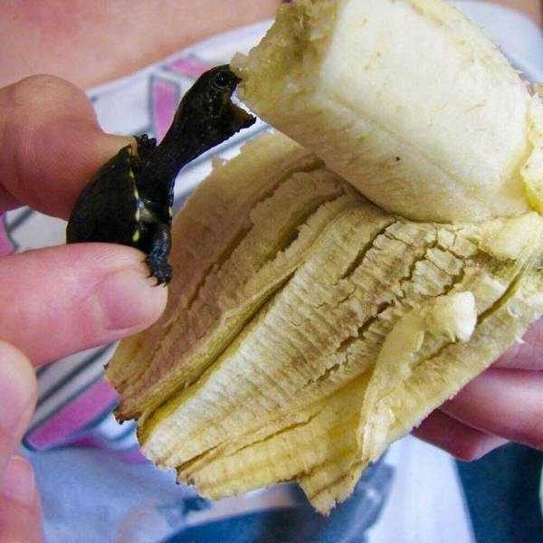 Klyker Picdump (127 photos)