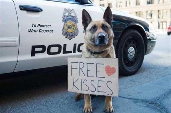 klyker funny picdump 142 5 600x398 Klyker Picdump (152 photos)