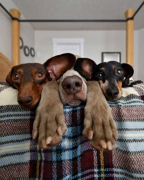 klyker funny picdump 15 15 600x750 Klyker Picdump (152 photos)