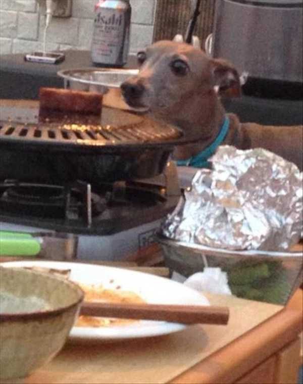 klyker funny picdump 150 1 600x760 Klyker Picdump (152 photos)