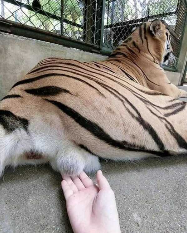 klyker funny picdump 16 4 600x747 Klyker Picdump (136 photos)