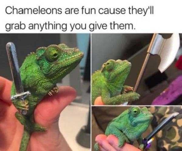 klyker funny picdump 17 15 600x497 Klyker Picdump (152 photos)