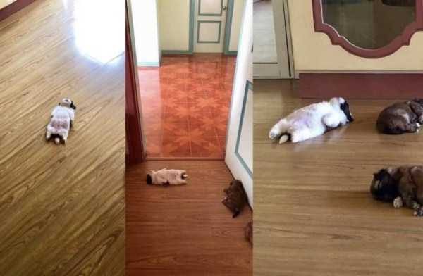 Klyker Picdump (127 photos)