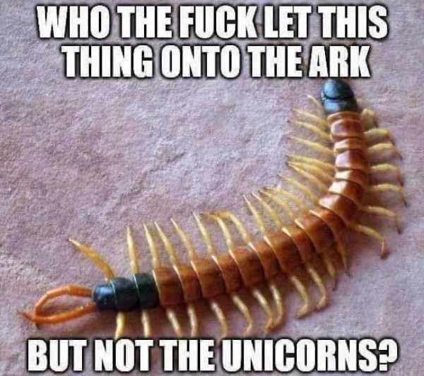 klyker funny picdump 19 15 600x532 Klyker Picdump (152 photos)