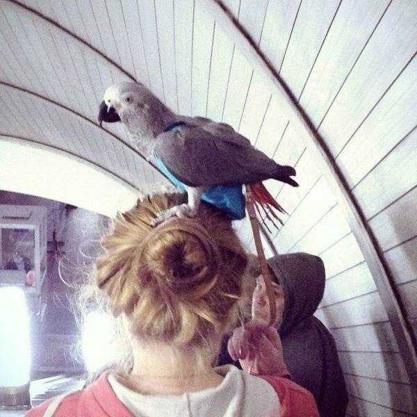 Klyker Picdump (147 photos)