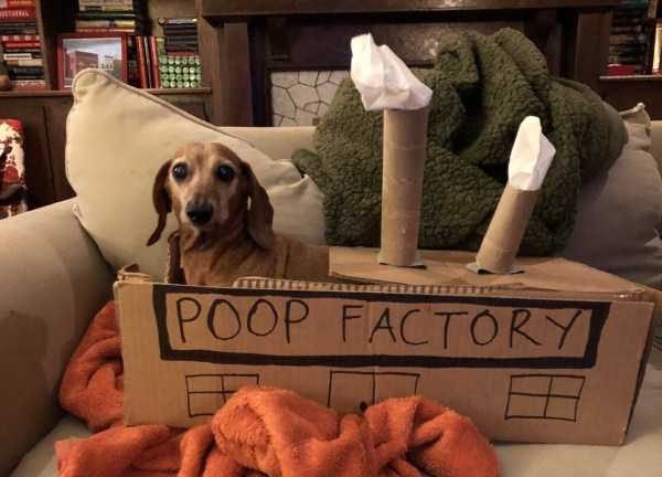 klyker funny picdump 20 15 600x432 Klyker Picdump (152 photos)