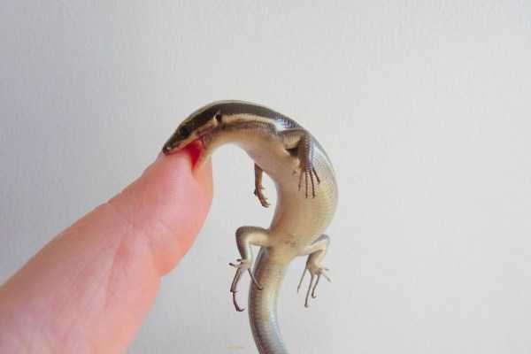 klyker funny picdump 22 4 600x400 Klyker Picdump (136 photos)