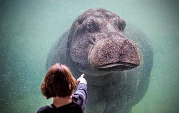 Klyker Picdump (127 photos)