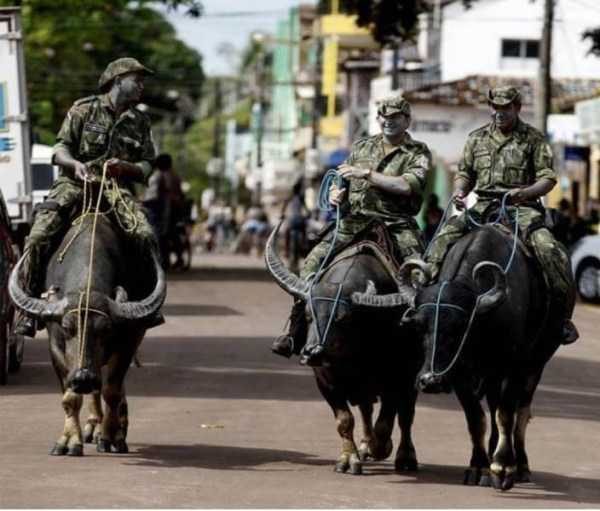 Klyker Picdump (147 photos)