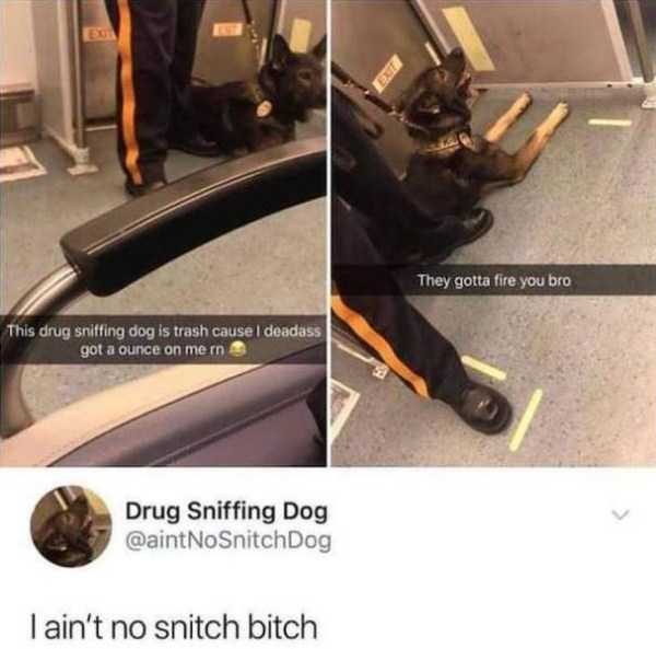 Klyker Picdump (127 photos)