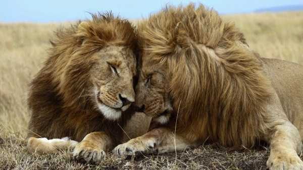 klyker funny picdump 26 14 600x337 Klyker Picdump (134 photos)