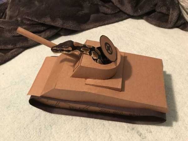 Klyker Picdump (127 photos)