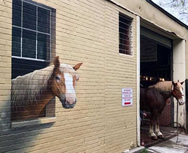 Klyker Picdump (147 photos)