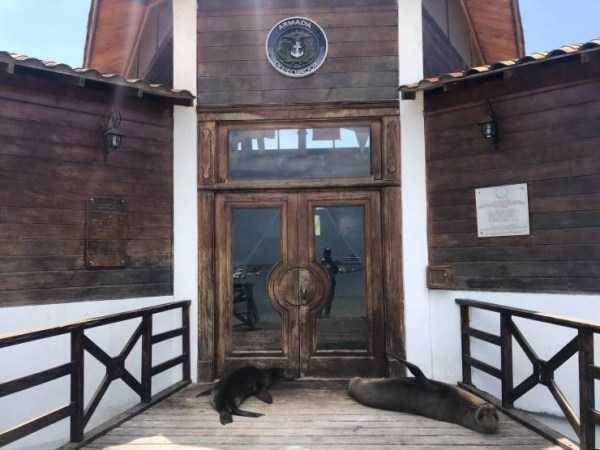 Klyker Picdump (127 photos)