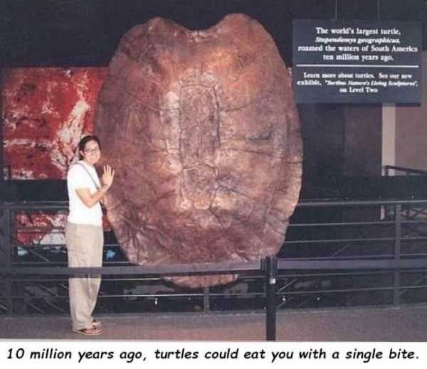 Klyker Picdump (127 photos)