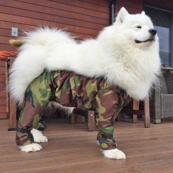 Klyker Picdump (127 photos)