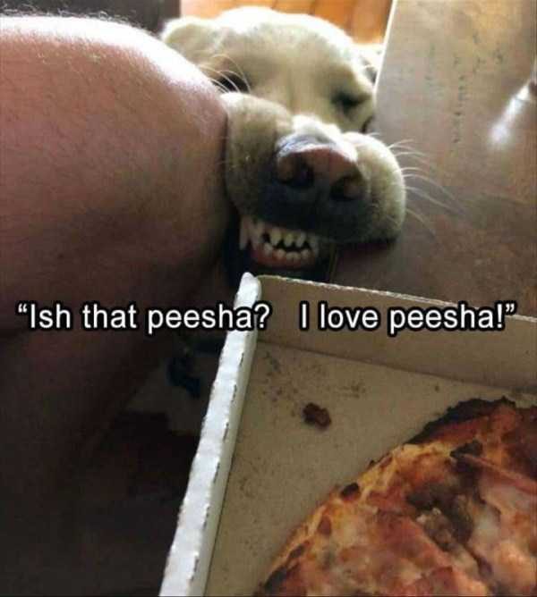 klyker funny picdump 4 15 600x668 Klyker Picdump (152 photos)