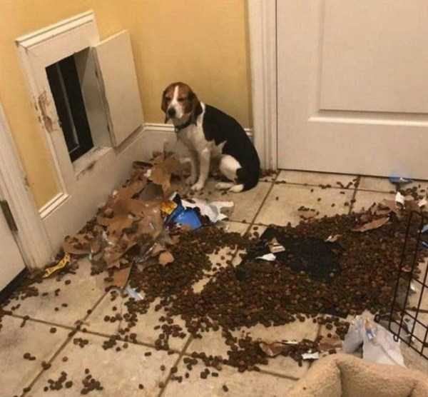 Klyker Picdump (127 photos)