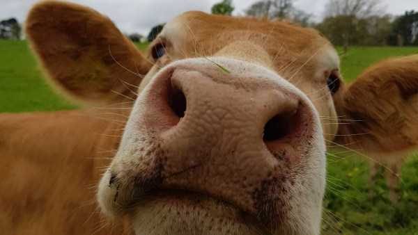 klyker funny picdump 41 14 600x338 Klyker Picdump (134 photos)