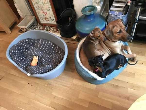 Klyker Picdump (133 photos)