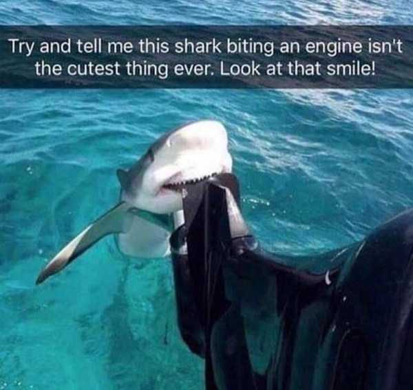 klyker funny picdump 42 7 600x568 Klyker Picdump (140 photos)