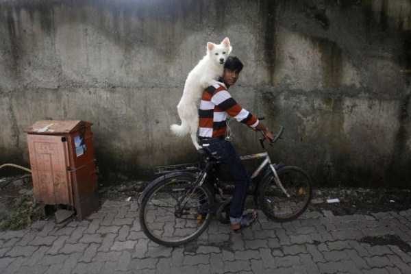 Klyker Picdump (127 photos)