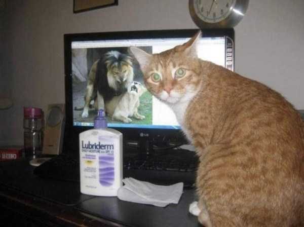 Klyker Picdump (127 photos)