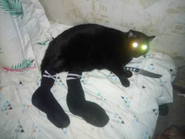 Klyker Picdump (127 photos)