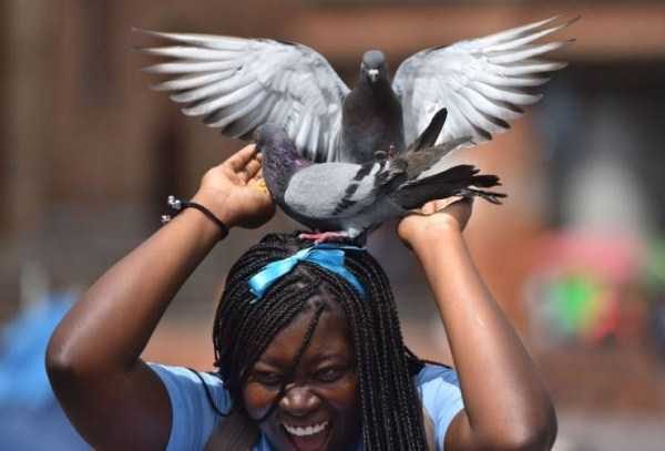 klyker funny picdump 52 7 600x407 Klyker Picdump (140 photos)