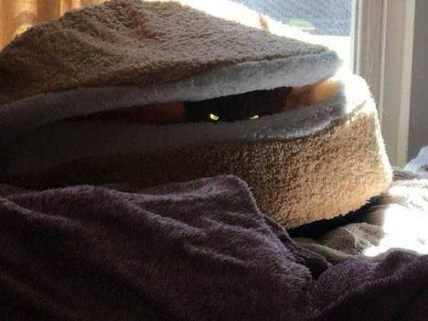 Klyker Picdump (127 photos)