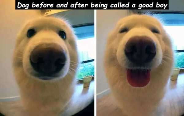 Klyker Picdump (127 photos)