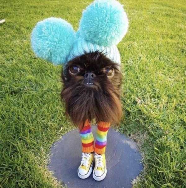 Klyker Picdump (147 photos)